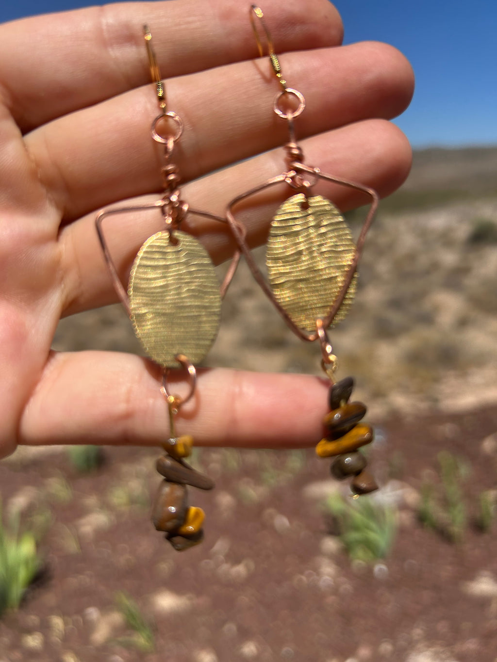 Focused Will Earrings
