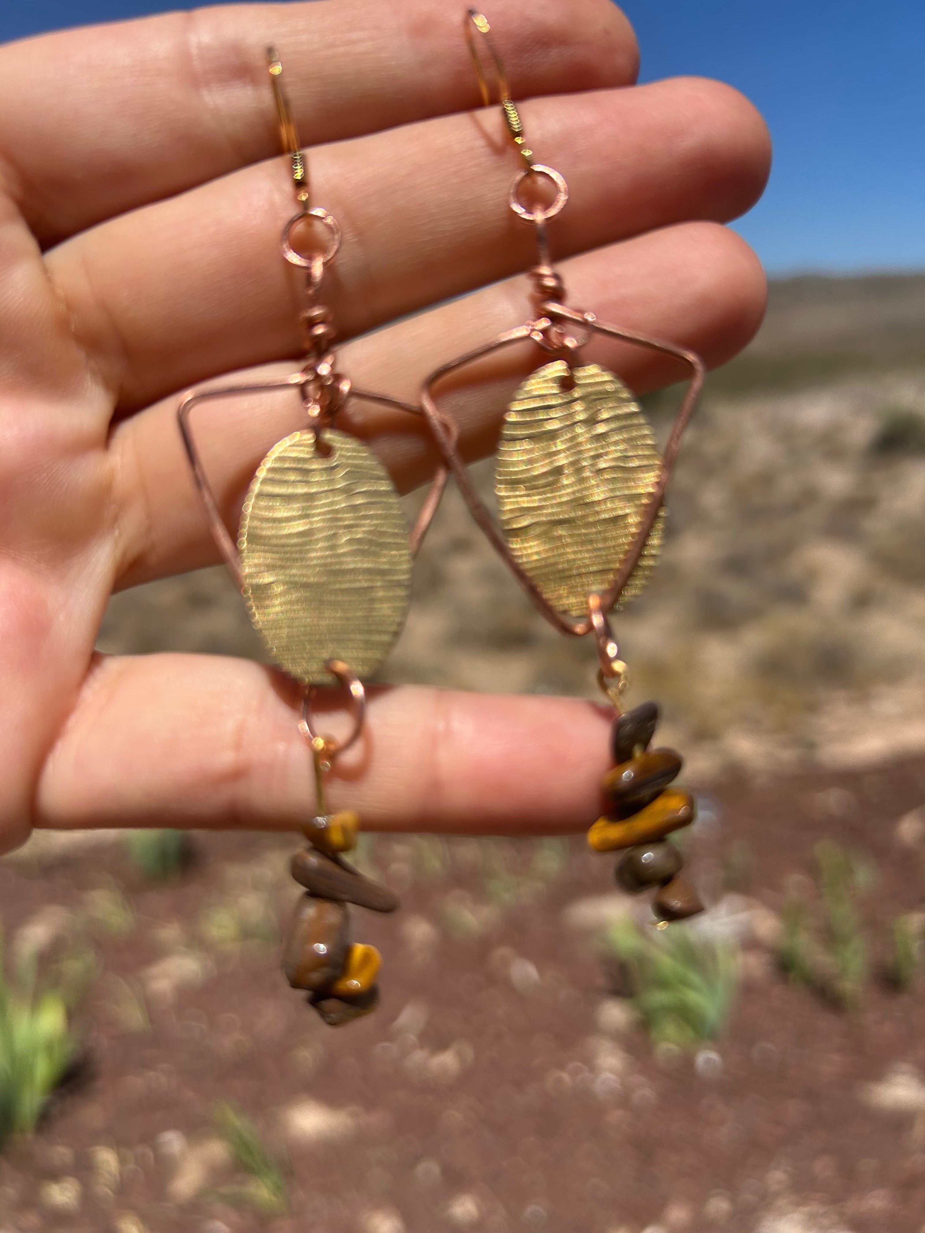 Focused Will Earrings