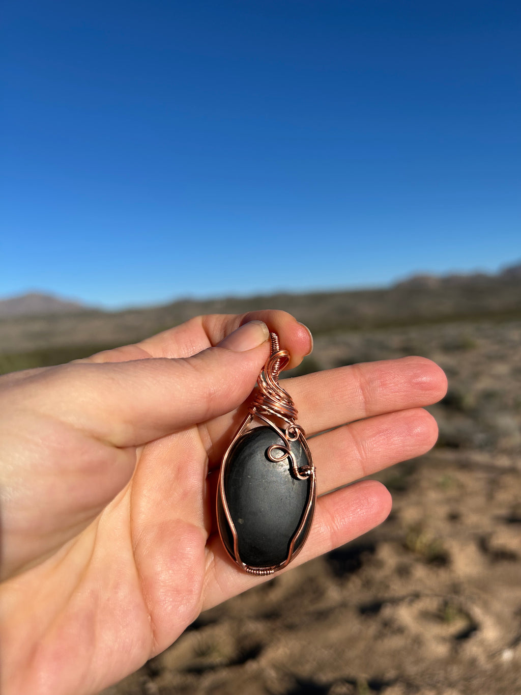 Grounded Shield Necklace