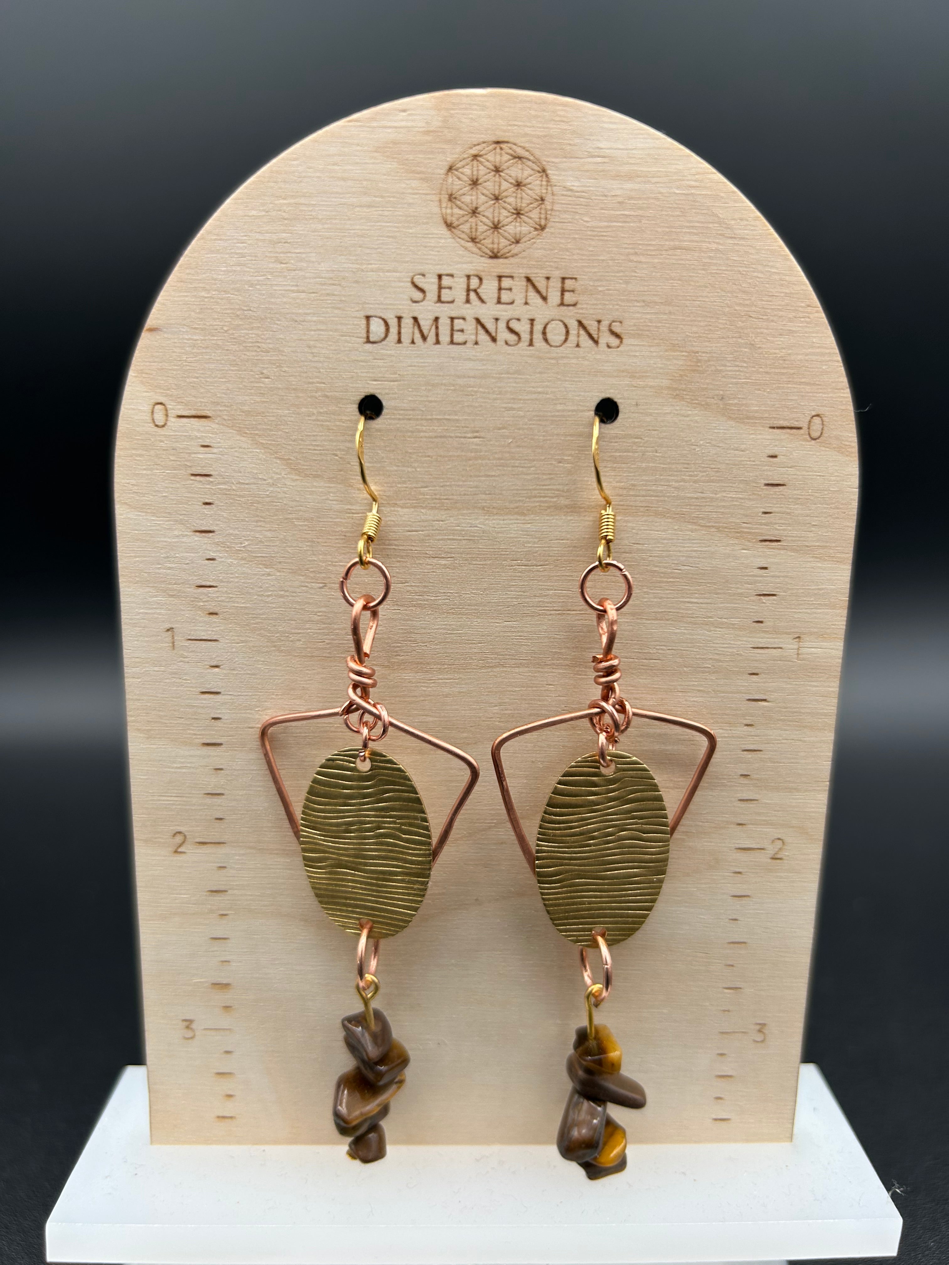 Focused Will Earrings