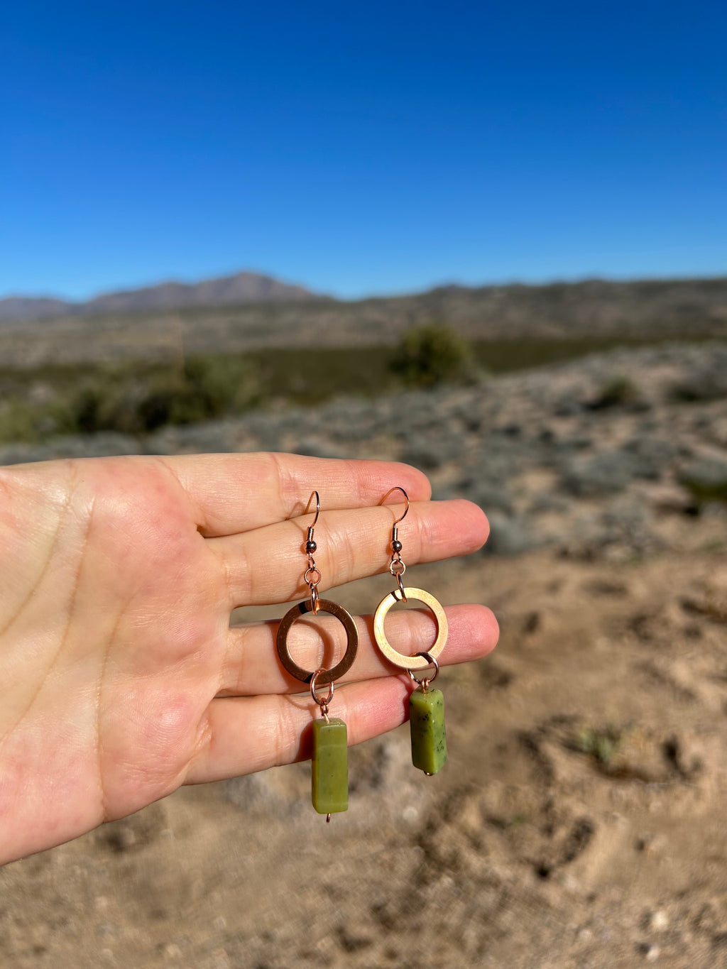 Steady Renewal Earrings