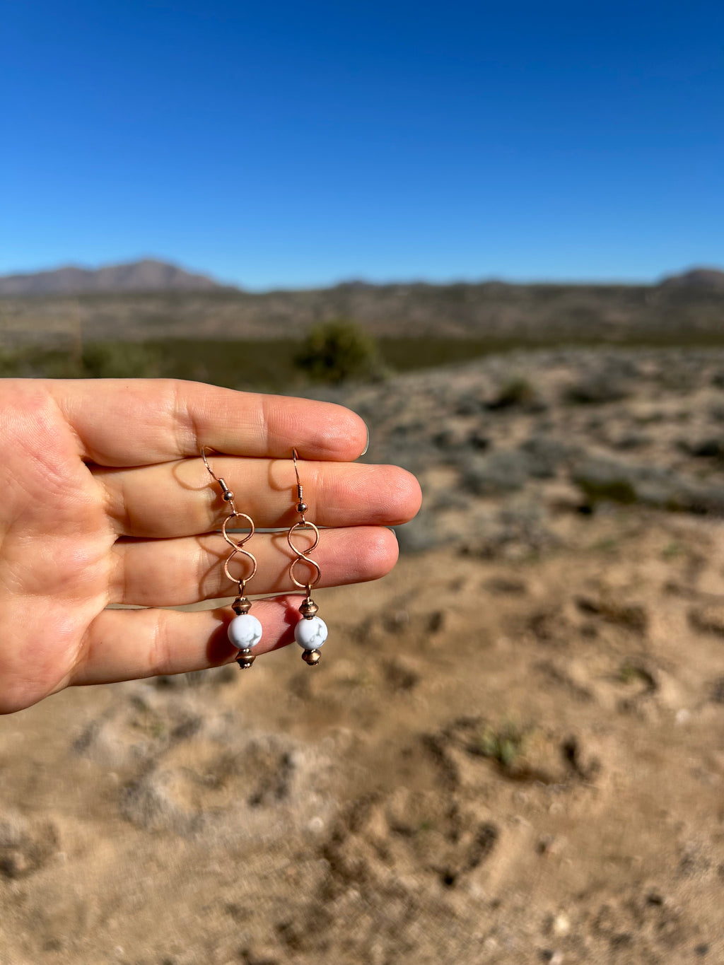 Calm Ground Earrings
