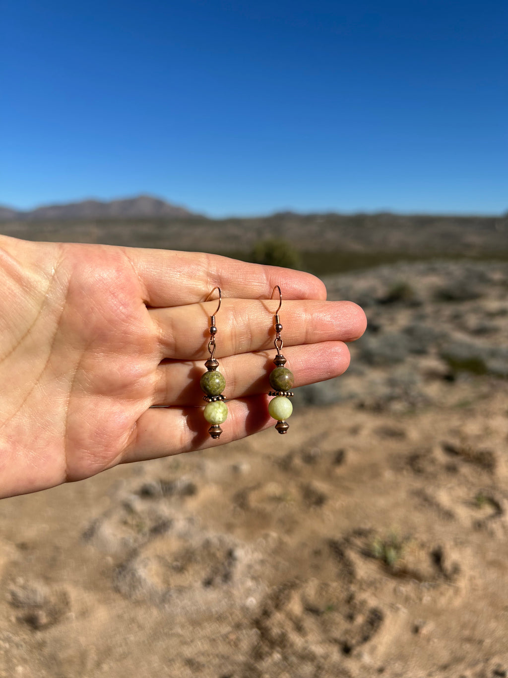 Grounded Transformation Earrings