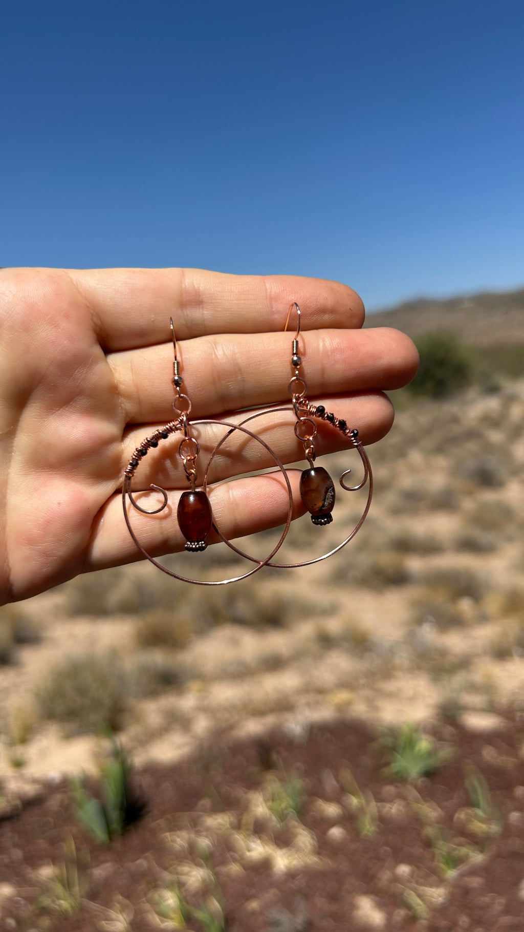 Soft Shield Earrings