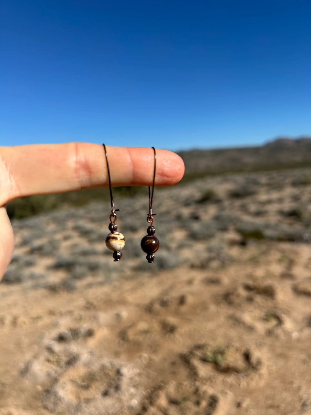 Steady Strength Earrings