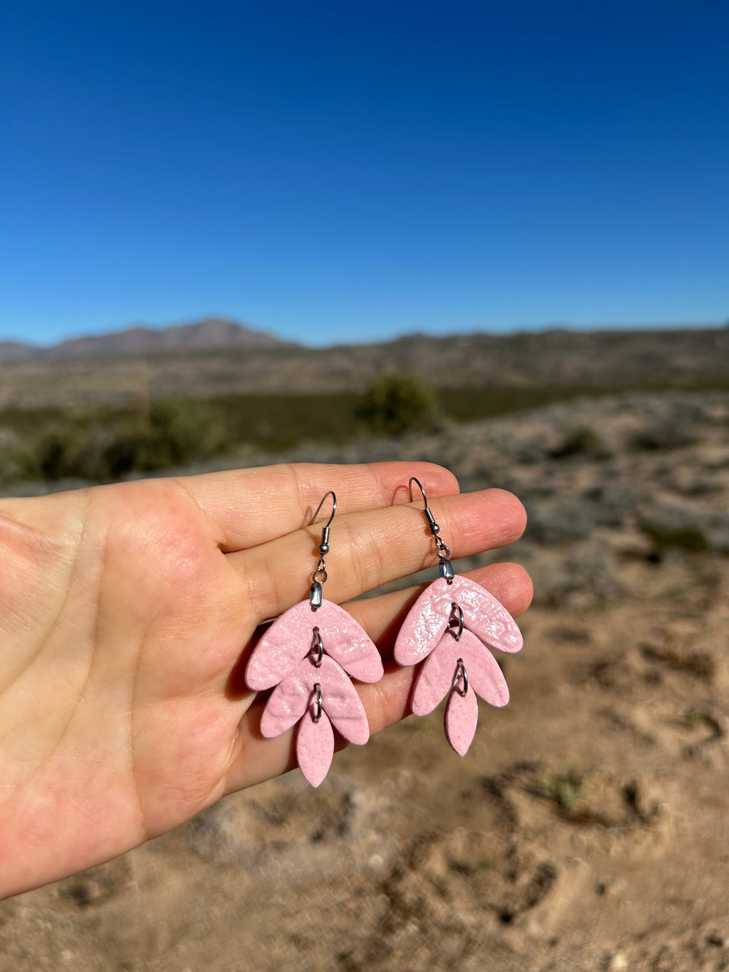 Clay Earrings