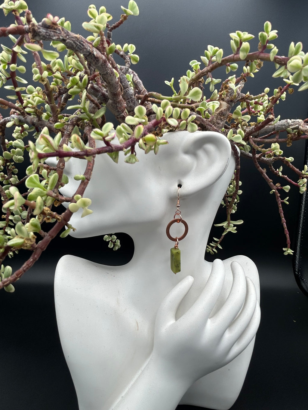 Steady Renewal Earrings